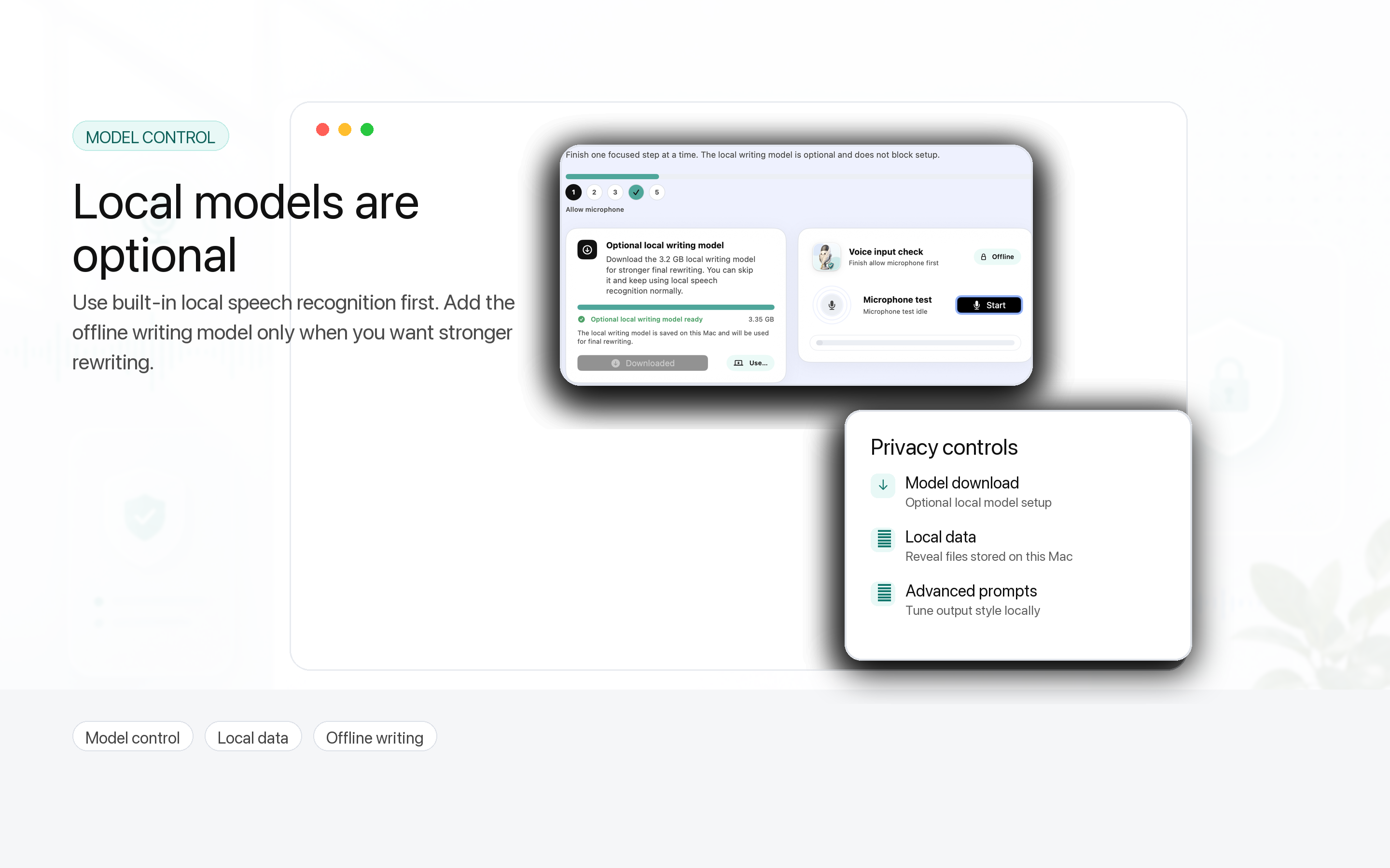 Privacy and local model controls